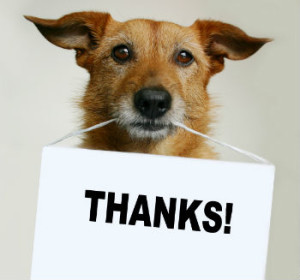 dog-holding-sign-thanks