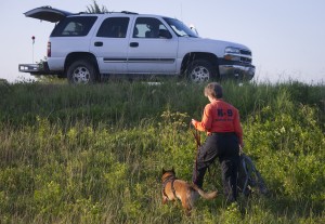 Search Dog Network