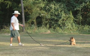 1. Snake between Retta and Instructor