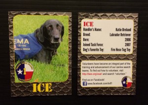 Ice Card