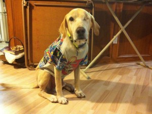 A photo of Brennan after his left eye was removed in October, 2013. Brennan is wearing a pretty t-shirt