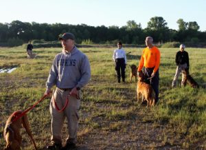 Canines demonstrate leash obedience